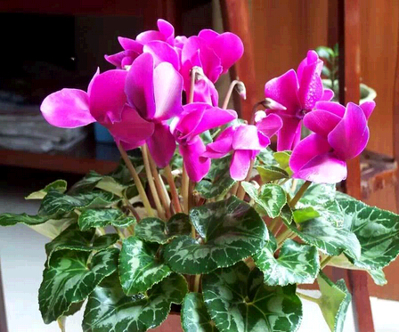 �ɿ́�(l��i)